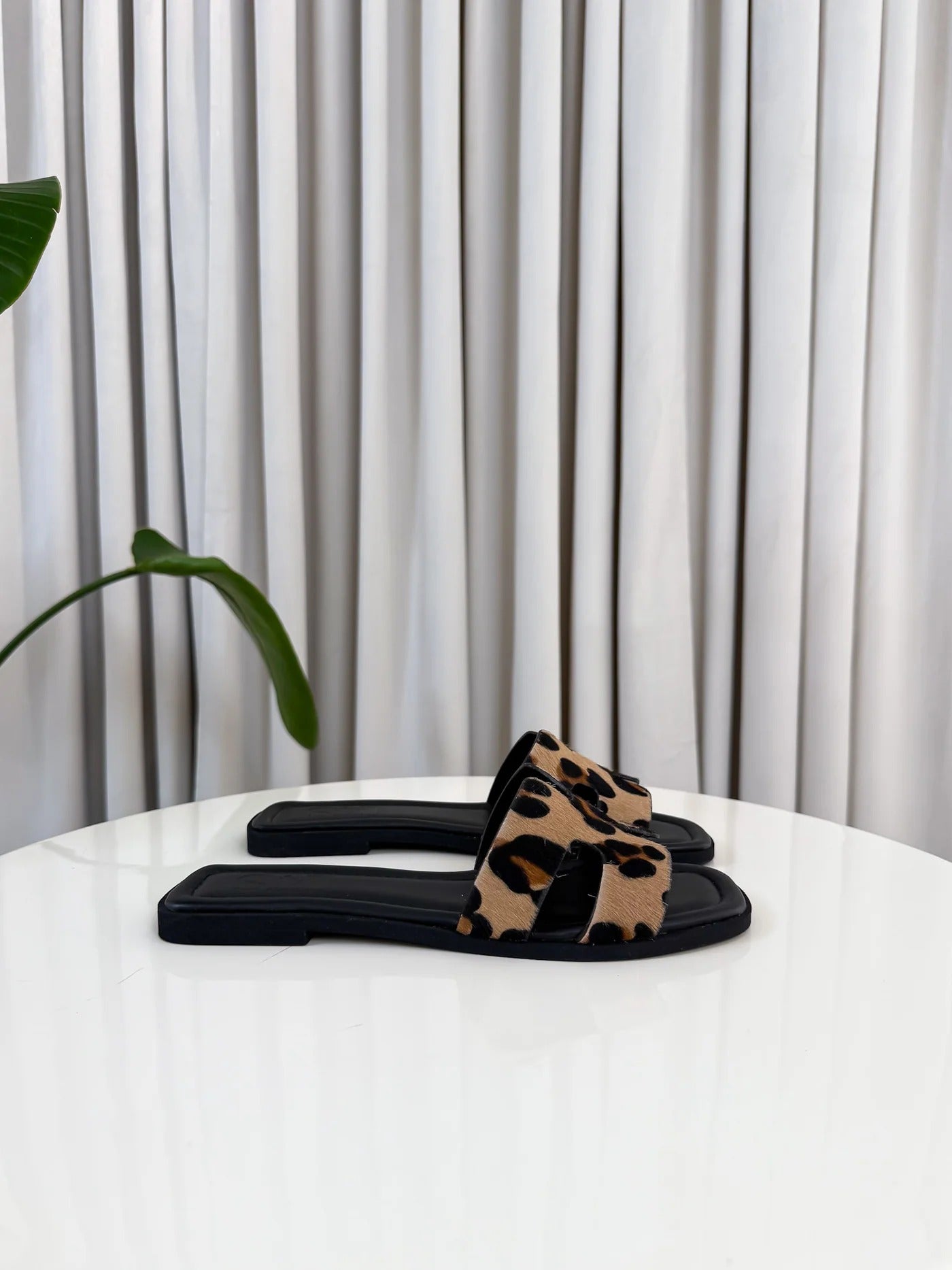 Elance™ | Luxe Limited Edition